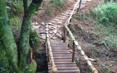 Introducing the Ecosangha