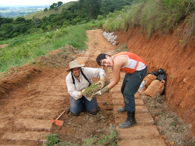 Sitio IpeTajy Improvement 2003-2104